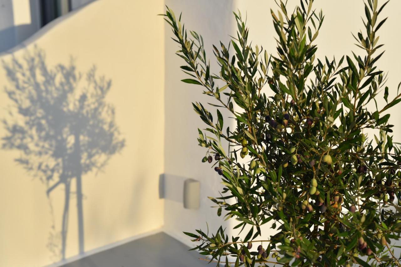 Crystal Mare Suites Naxos City エクステリア 写真
